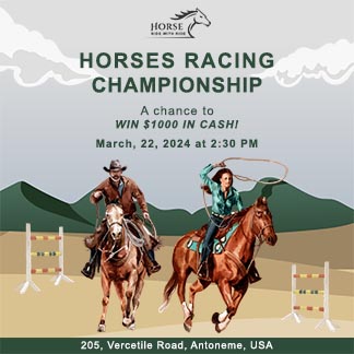 Horse racing Flyer Vector free download