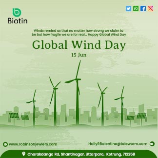 Global Wind Day Daily Branding Post