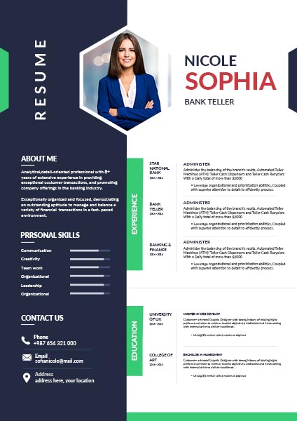 Get Professional Resume Template