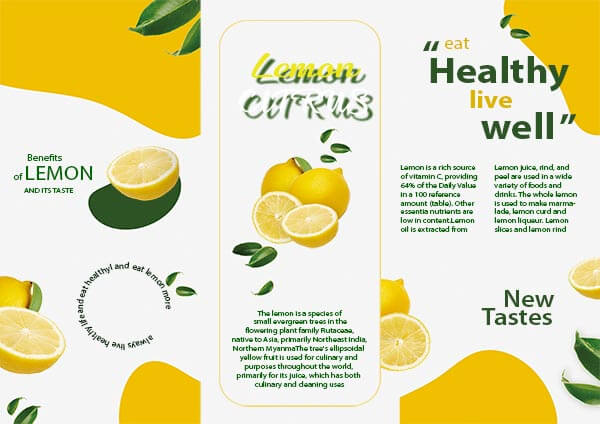 Grey and Yellow Lemon Citrus Eat Healthy Live Well Simple Flyer And Poster Maker Template