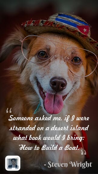 Dog Funny Quotes Instagram Story Template