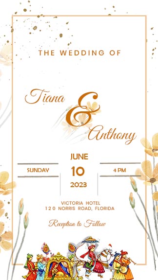 Colorful Wedding Invitation Story Template Download
