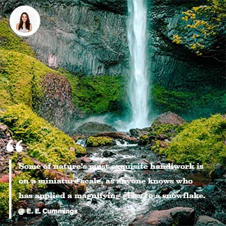 Nature Instagram Quote Template