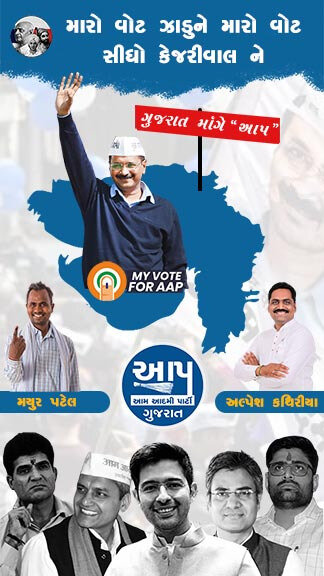 AAP Election Instagram Story Template