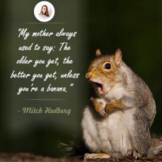 Free Squirrel Photo Funny Quote