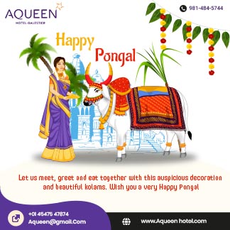 Traditional Happy Pongal Day Daily Branding Post